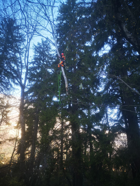 Paysagiste à VARCES-ALLIÈRES-ET-RISSET
 